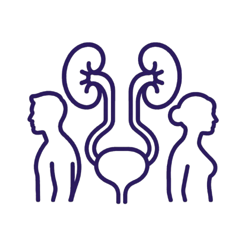 Adult & Female Urology​